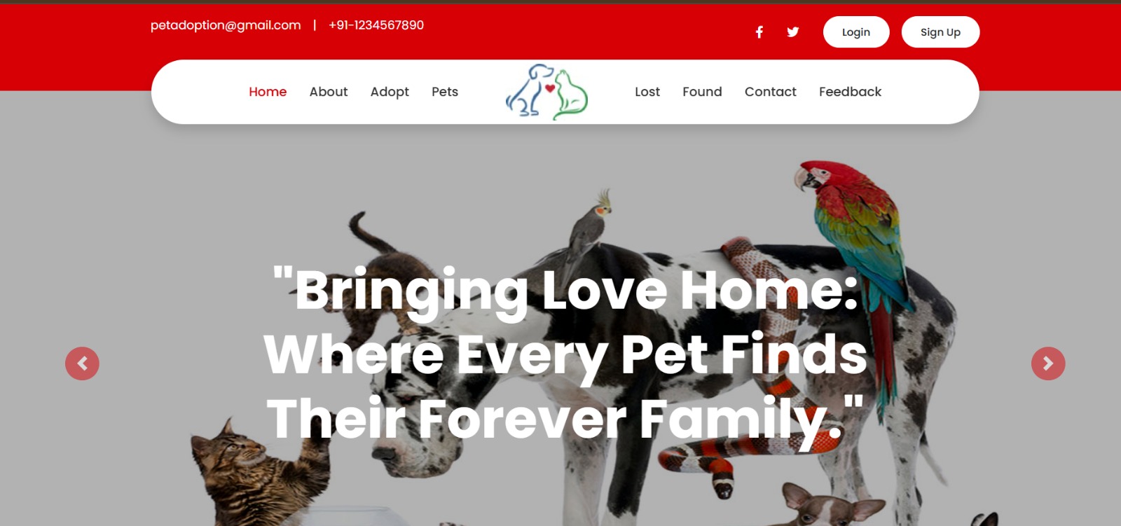 Pet Adoption System